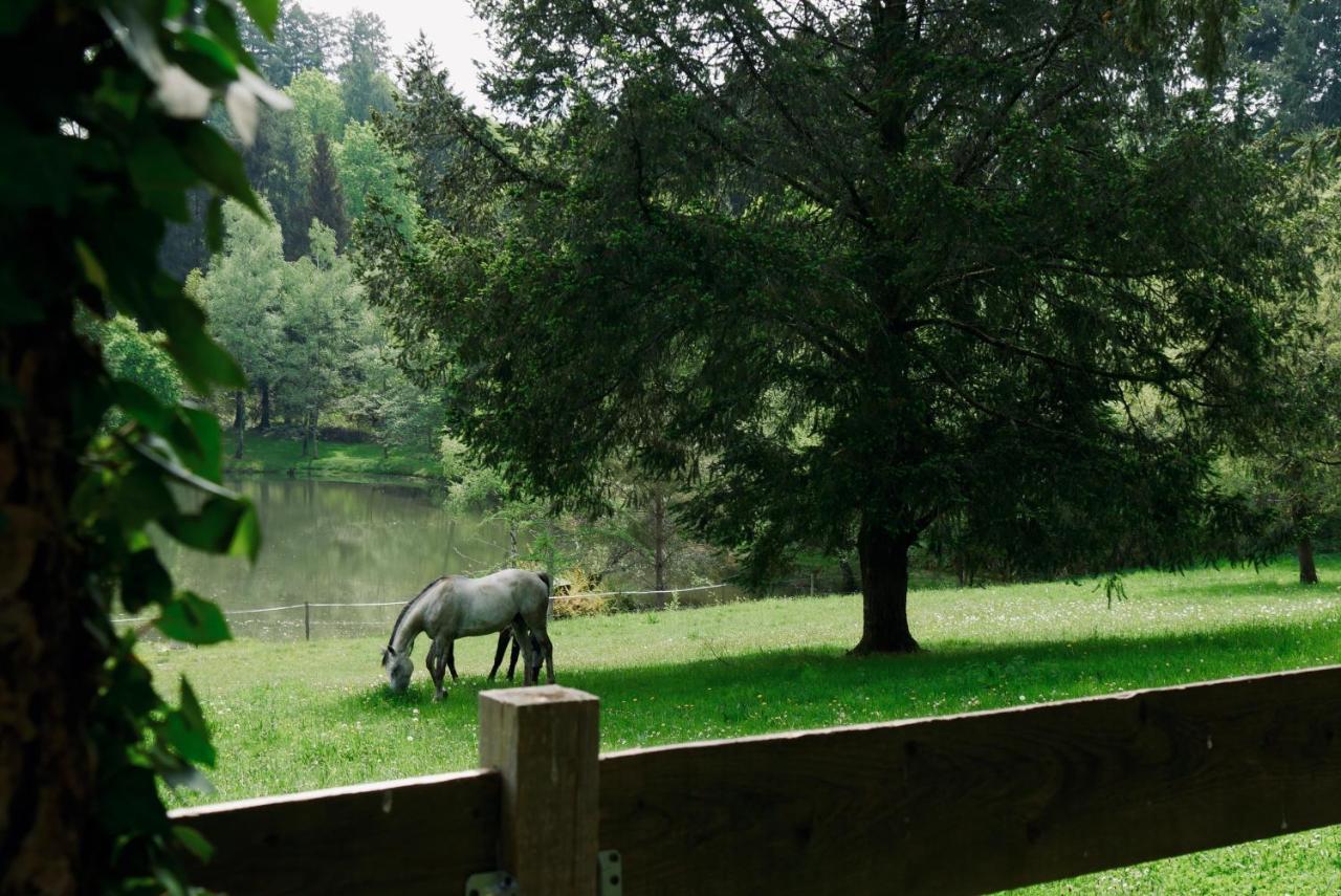 Manoir De Chantemerle Sainte-Fortunade Bagian luar foto