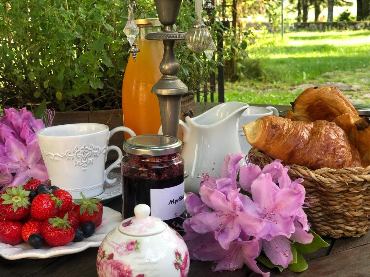 Manoir De Chantemerle Sainte-Fortunade Bagian luar foto