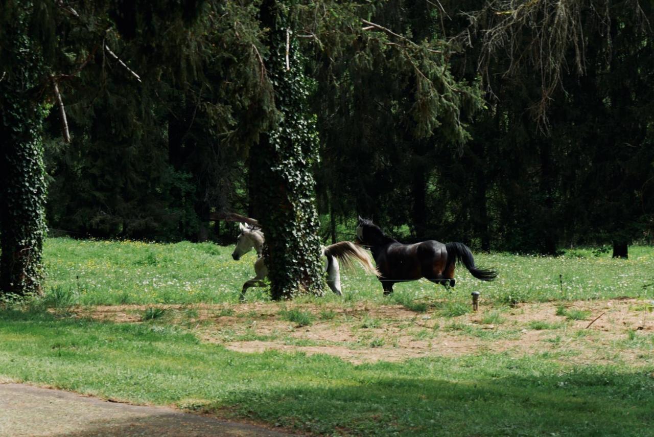 Manoir De Chantemerle Sainte-Fortunade Bagian luar foto