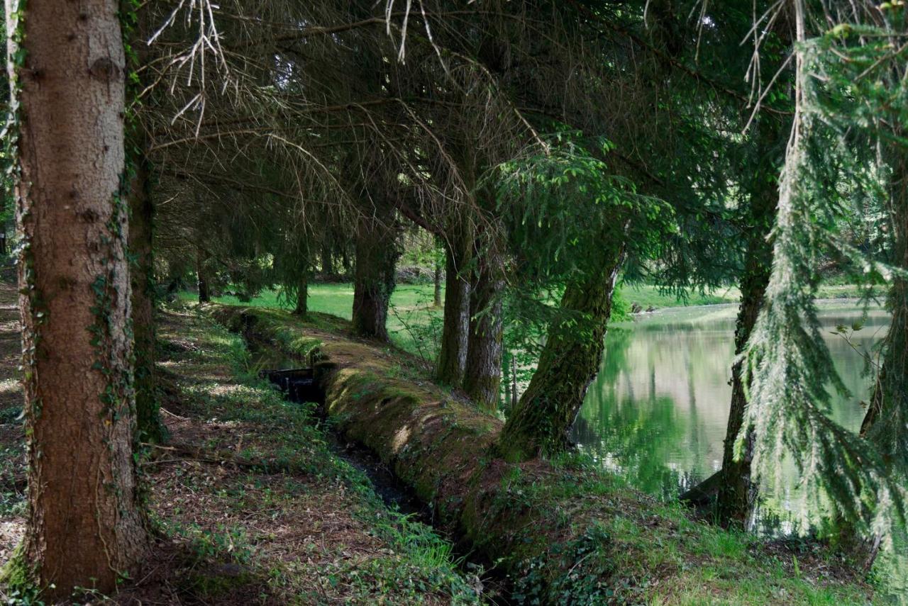 Manoir De Chantemerle Sainte-Fortunade Bagian luar foto
